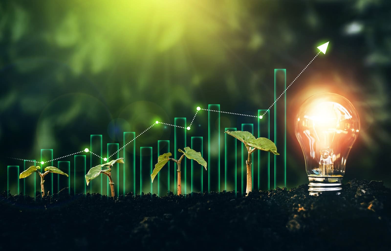 Simplify Your Growth Journey